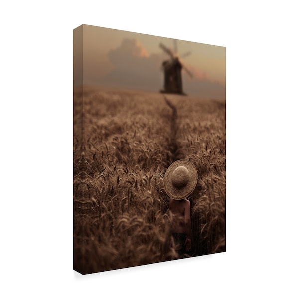 Trademark Fine Art David Dubnitskiy 'The Boy In The Field' Canvas